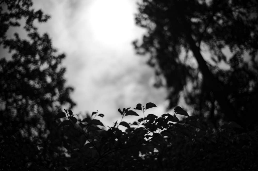 Sheila Pree Bright, Behold the Land, Untitled 2, 2021