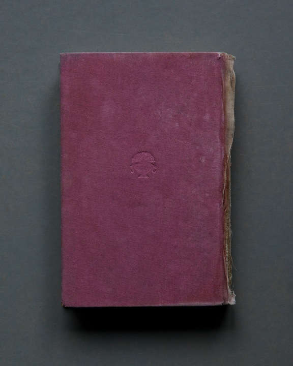 Mary Ellen Bartley, Pink Embossed, from the series Reading Grey Gardens, 2017