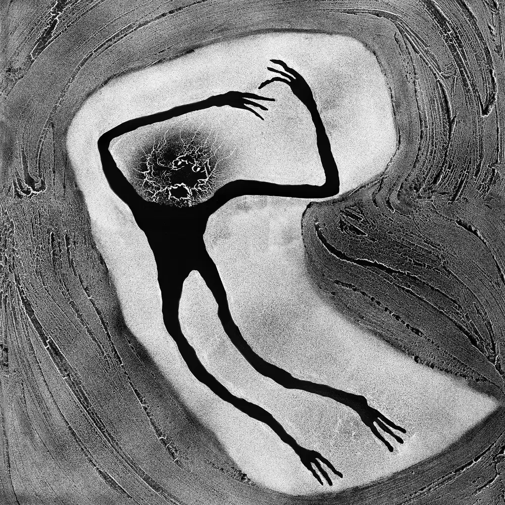 Roger Ballen, Embroyonic, 2009