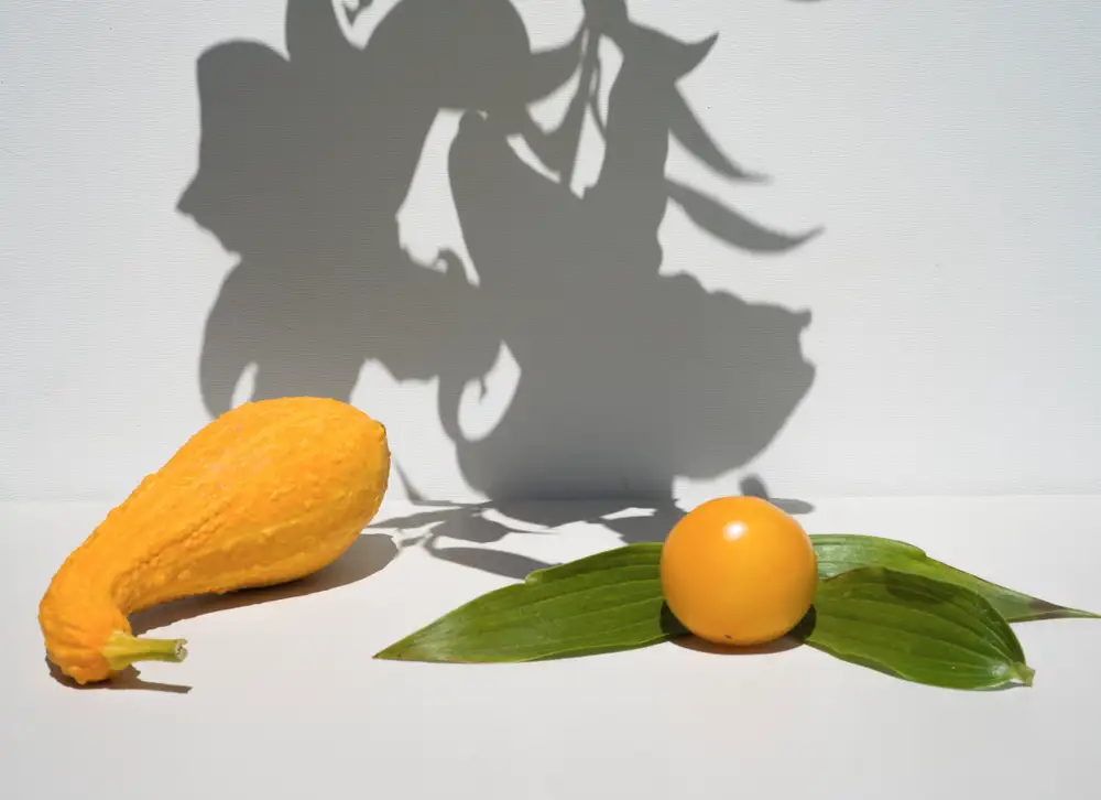 Carolyn Carr, Afternoon Shadows, 2018