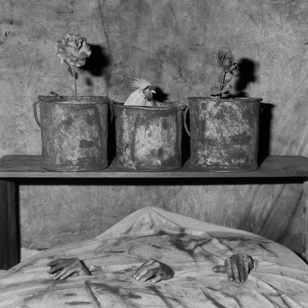 Roger Ballen, Three Hands, 2006