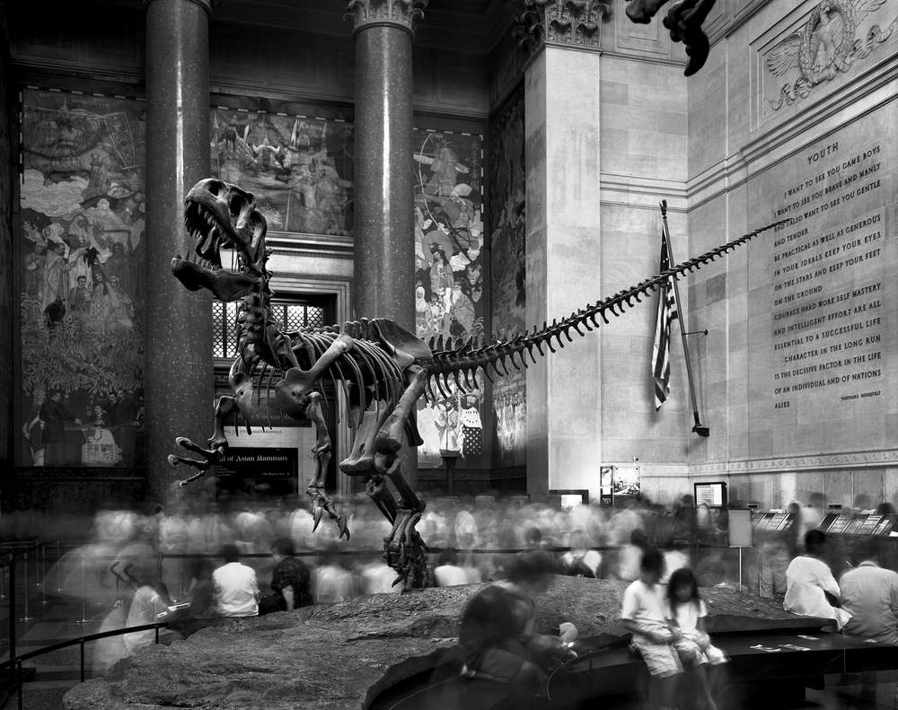 Matthew Pillsbury, Dinosaur Coming to Life, Museum of Natural History, NYC, 2004 (TV04084)