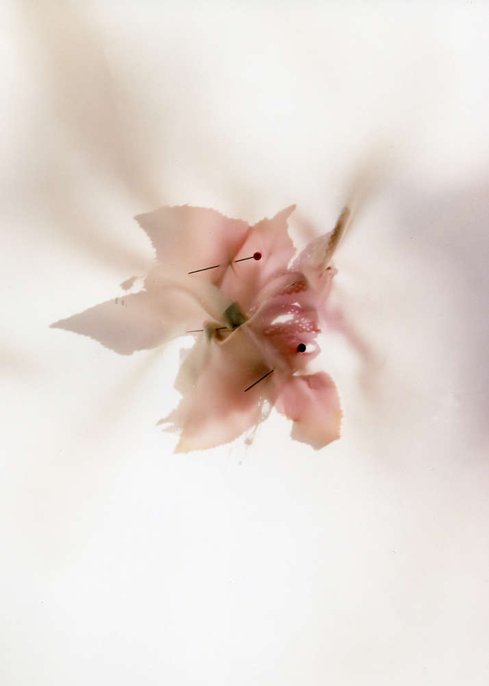 Angela West, Homecoming (November 1988), 2001