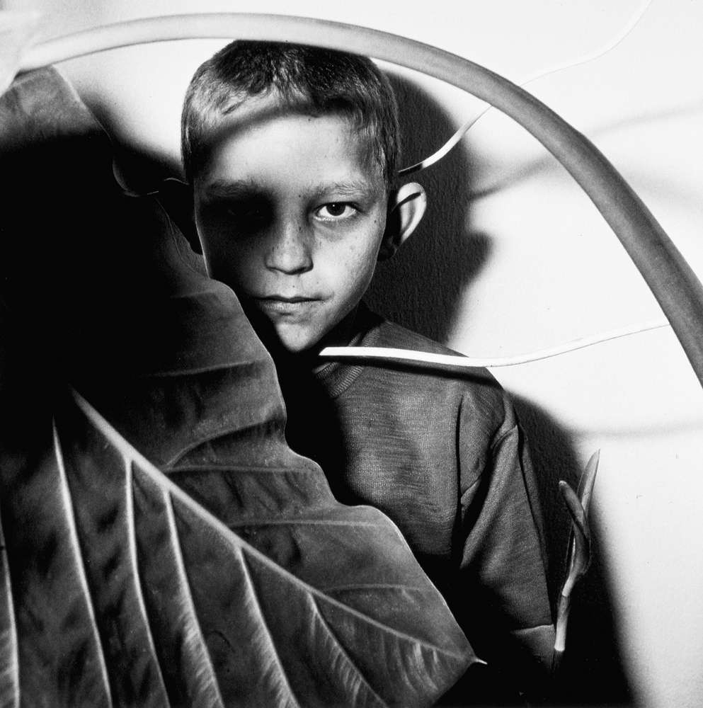 Roger Ballen, Study of Boy and Plant, 1999