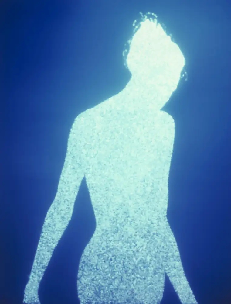 Christopher Bucklow, Guest, 1:10 pm, 17th December, 2008