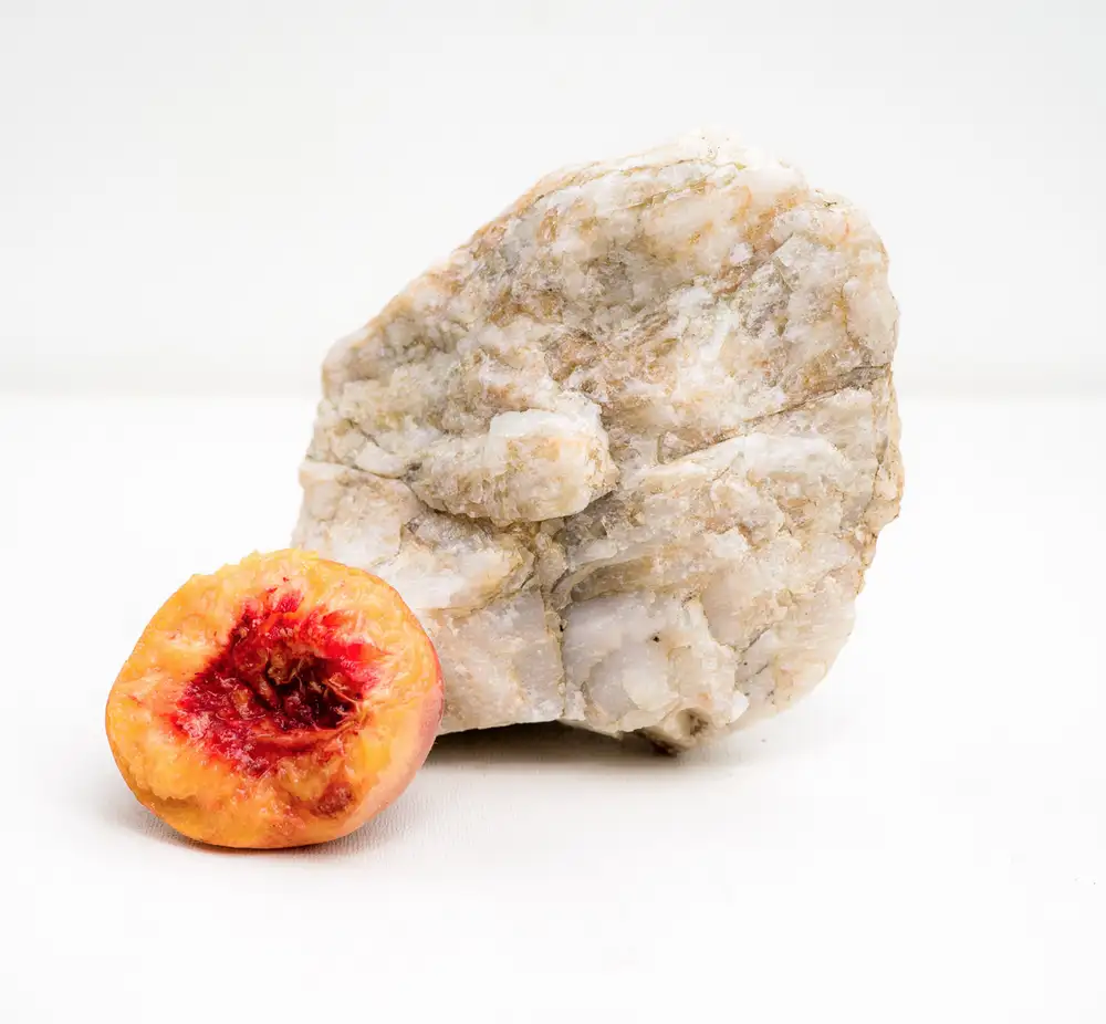 Carolyn Carr, Peaches, 2018