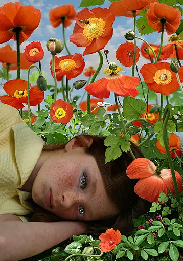 Ruud van Empel, Dawn #3, 2008