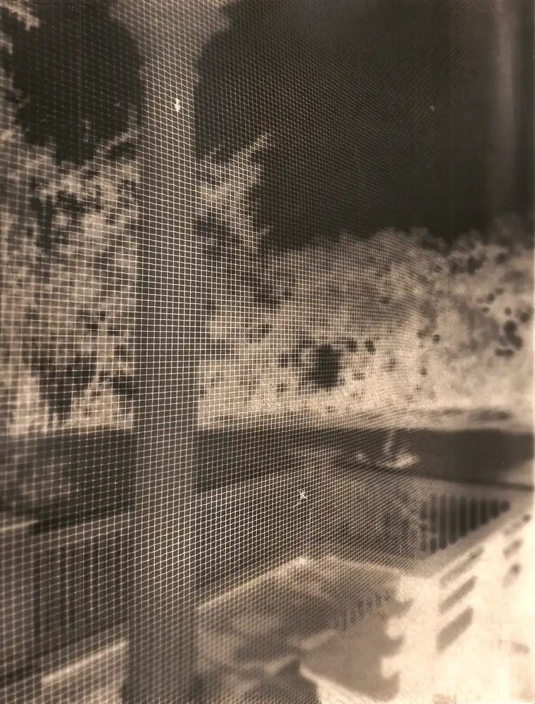 Carolyn Carr, Front Porch , 2017-2018