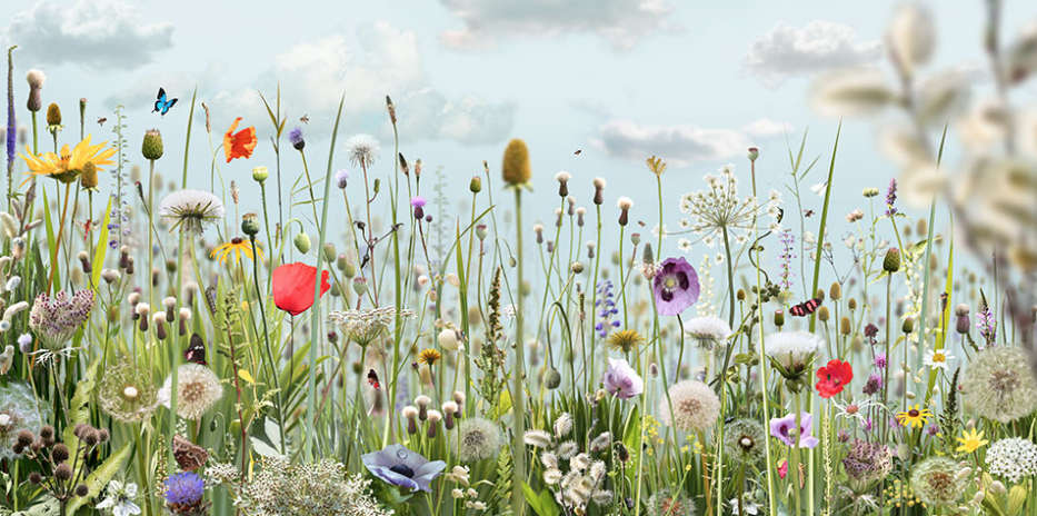 Ruud van Empel, Voyage Pittoresque #3, 2016