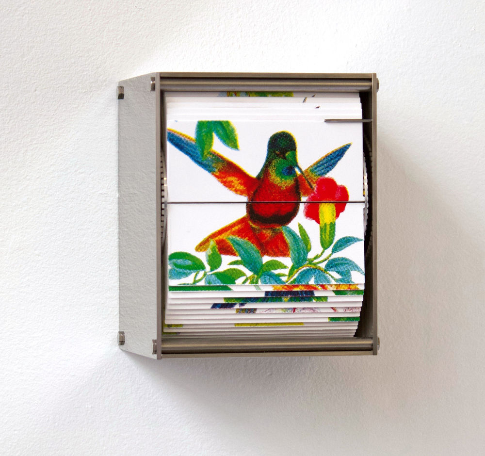 J.C. Fontanive, Ornithology J, 2018