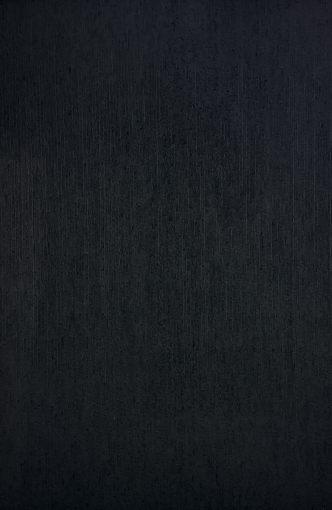 Juan Roberto Diago, Untitled (La Piel Que Habla Series), 2014