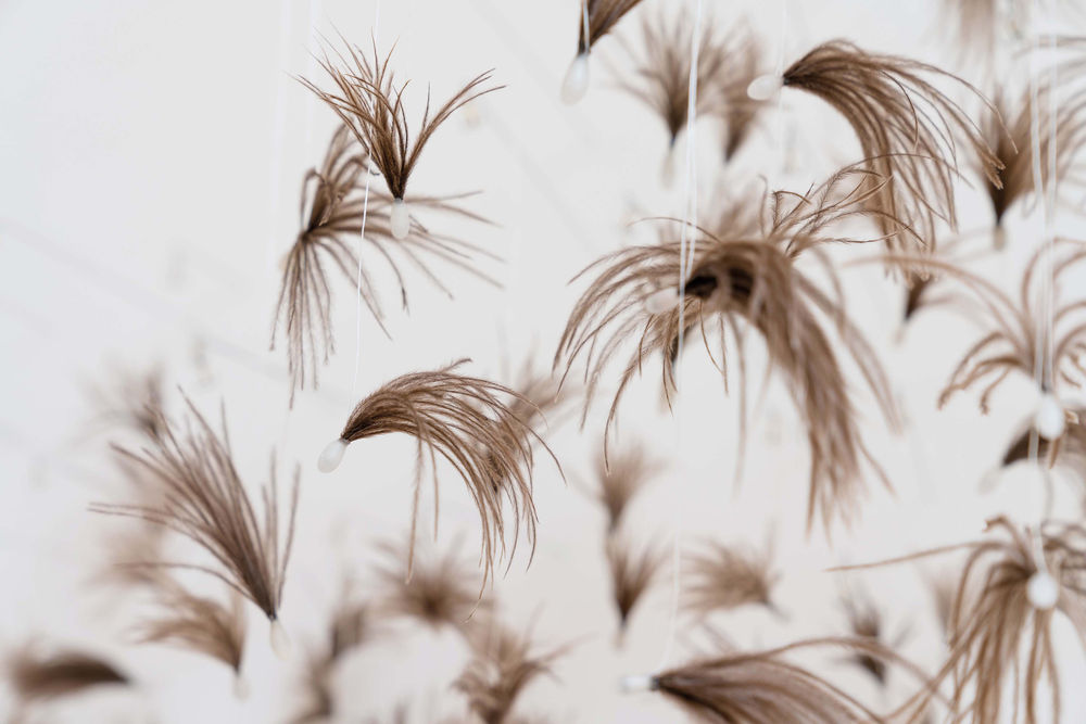 Susie MacMurray: Murmur