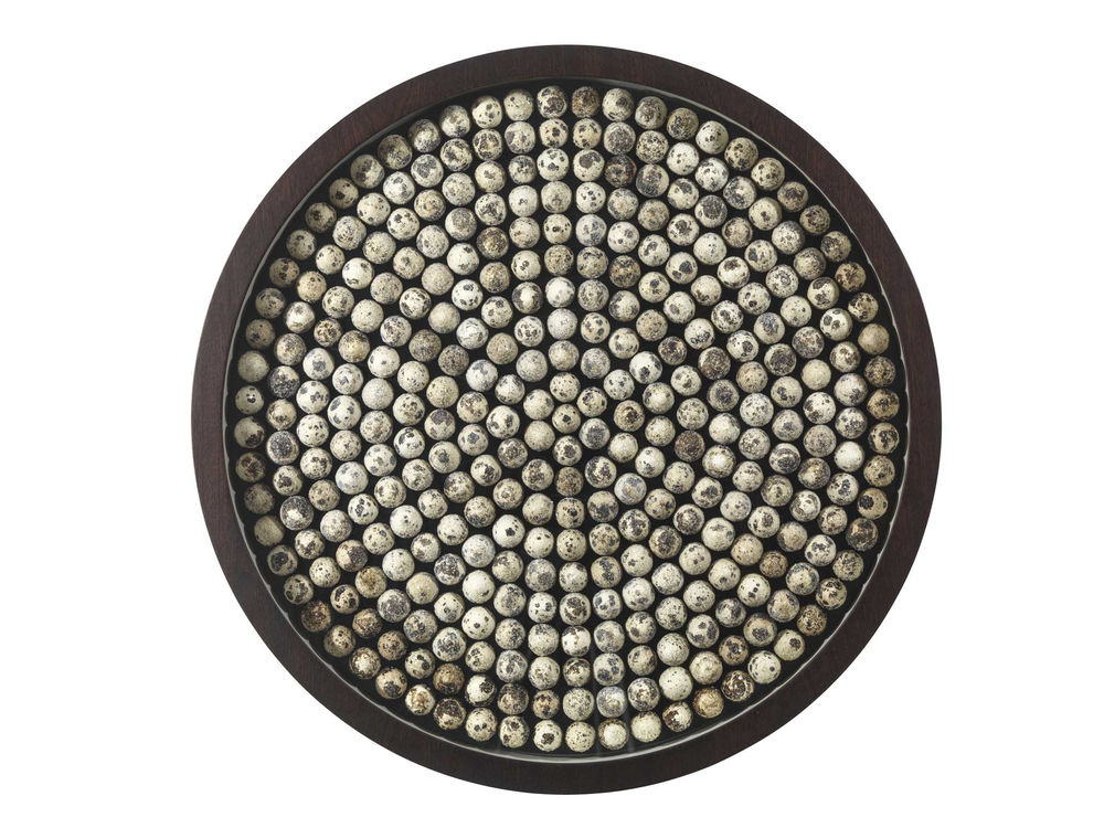 Nature Unwrapped, Kings Place Gallery Level, Curated by Pangolin London