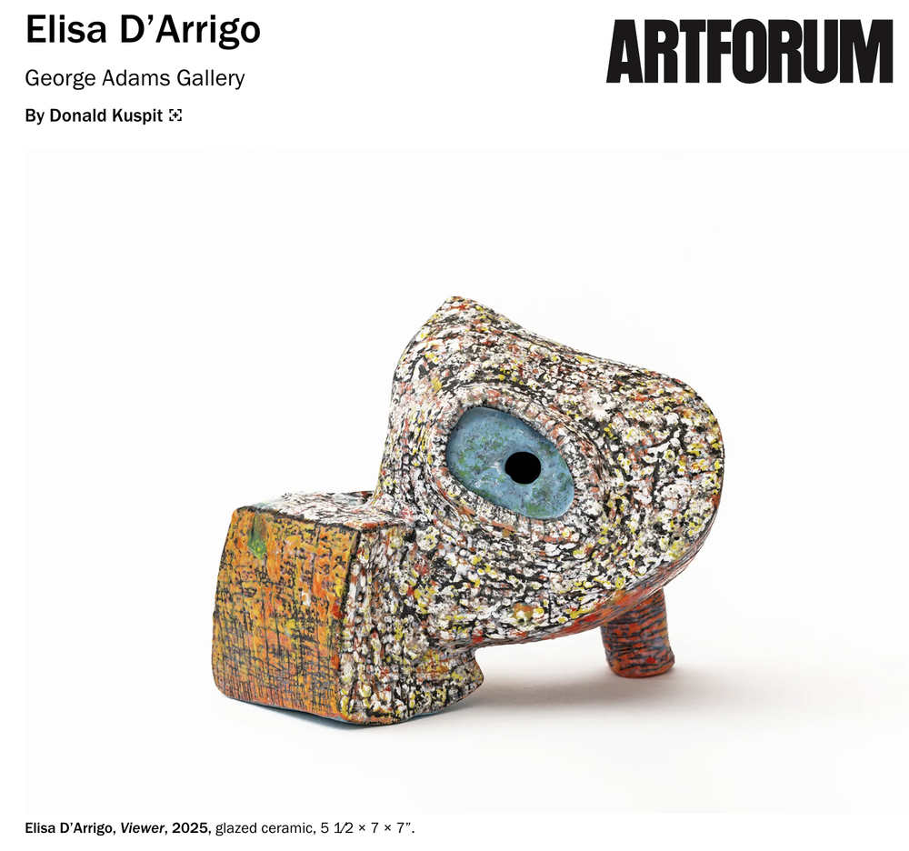 Artforum Review: Elisa D'Arrigo