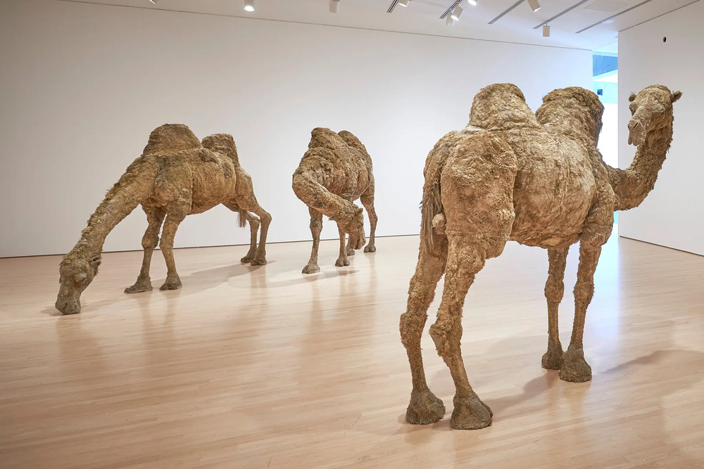 Roll Over, Warhol: Taking the ’60s Beyond Pop Art