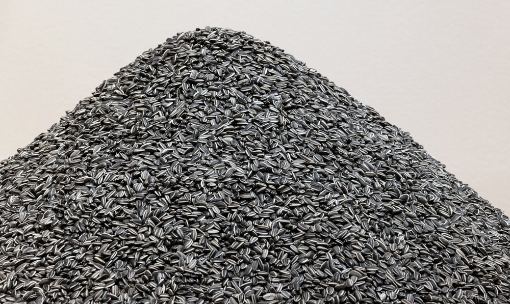 A detail from “Sunflower Seeds,” a 2010 porcelain work that weighs 1 ton. (Ken Lambert / The Seattle Times)