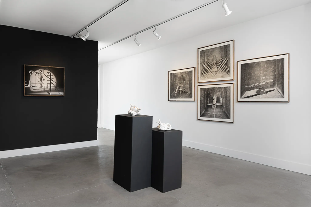 Installation view of Rodrigo Valenzuela