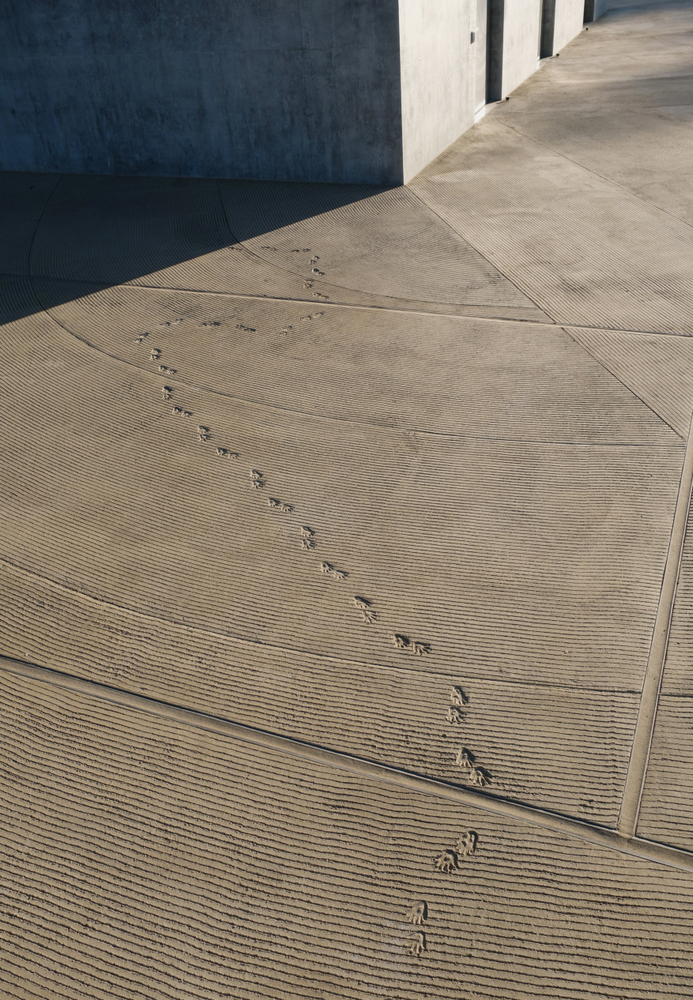 mariana castillo deball: serpent disappearances - Exhibitions - Kurimanzutto