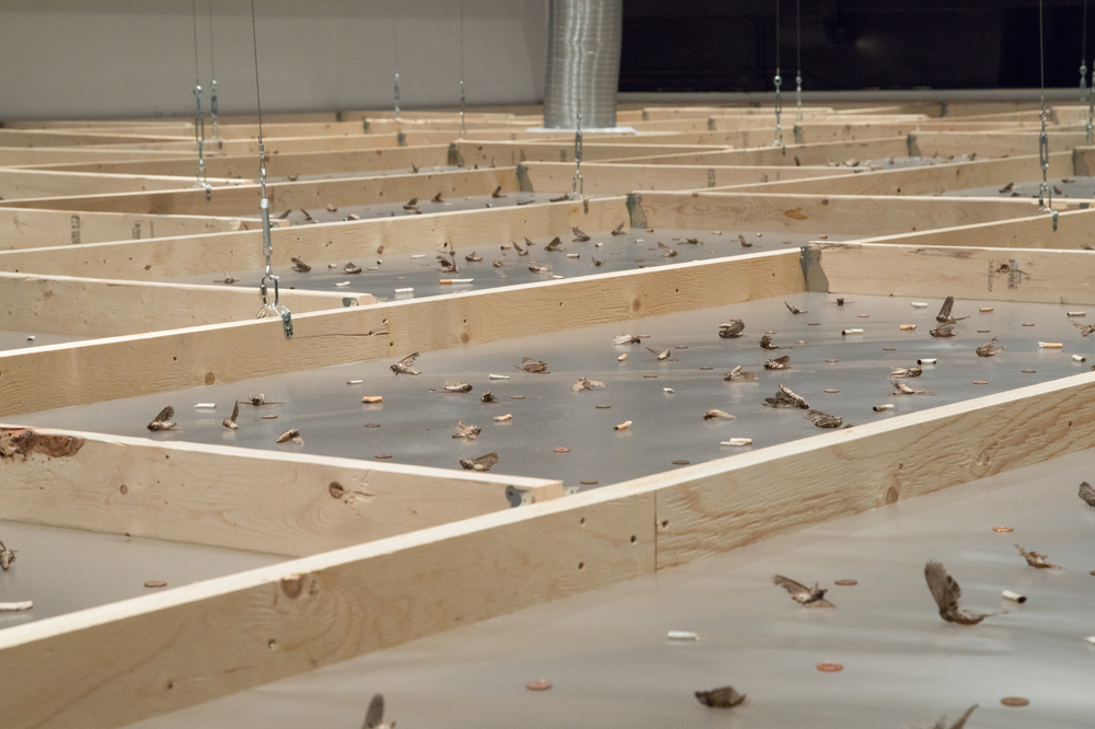 Vista de instalaci&amp;oacute;n de spending static to save gas, Oakville Galleries, Ontario, Canad&amp;aacute;, 2018