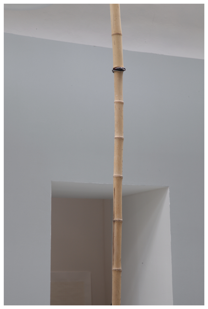 Vista de instalaci&amp;oacute;n de ILLUMInations, 54&amp;ordf; Exposici&amp;oacute;n Internacional de Arte, Bienal de Venecia, 2011