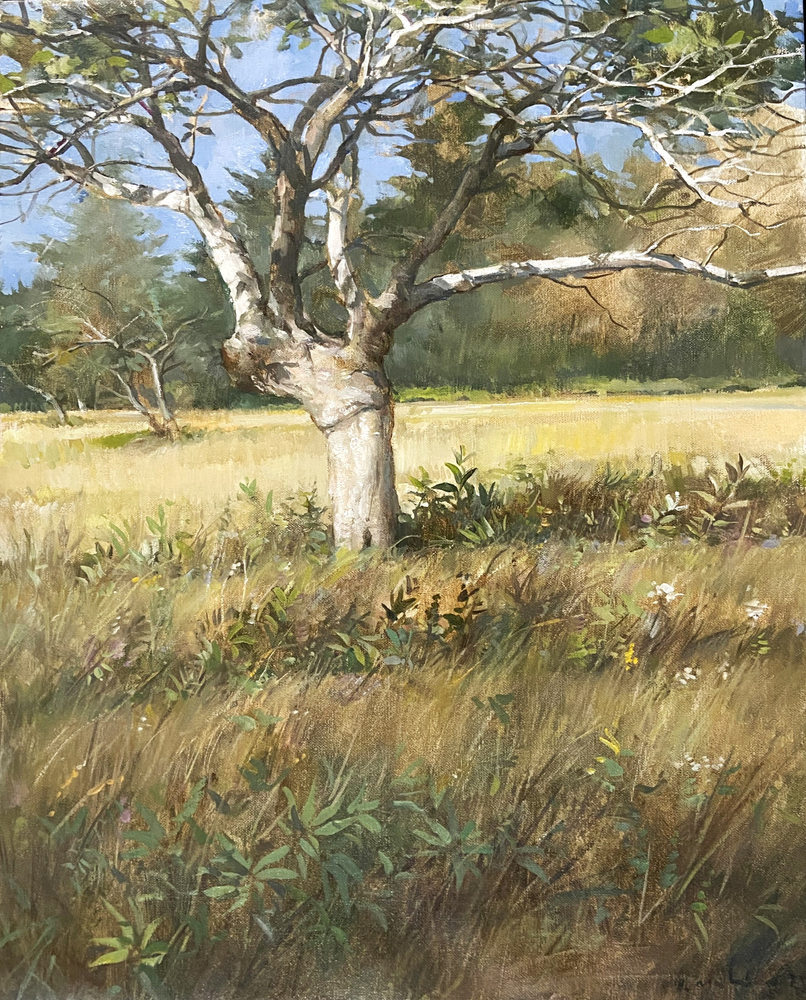 Home - Gross McCleaf Gallery