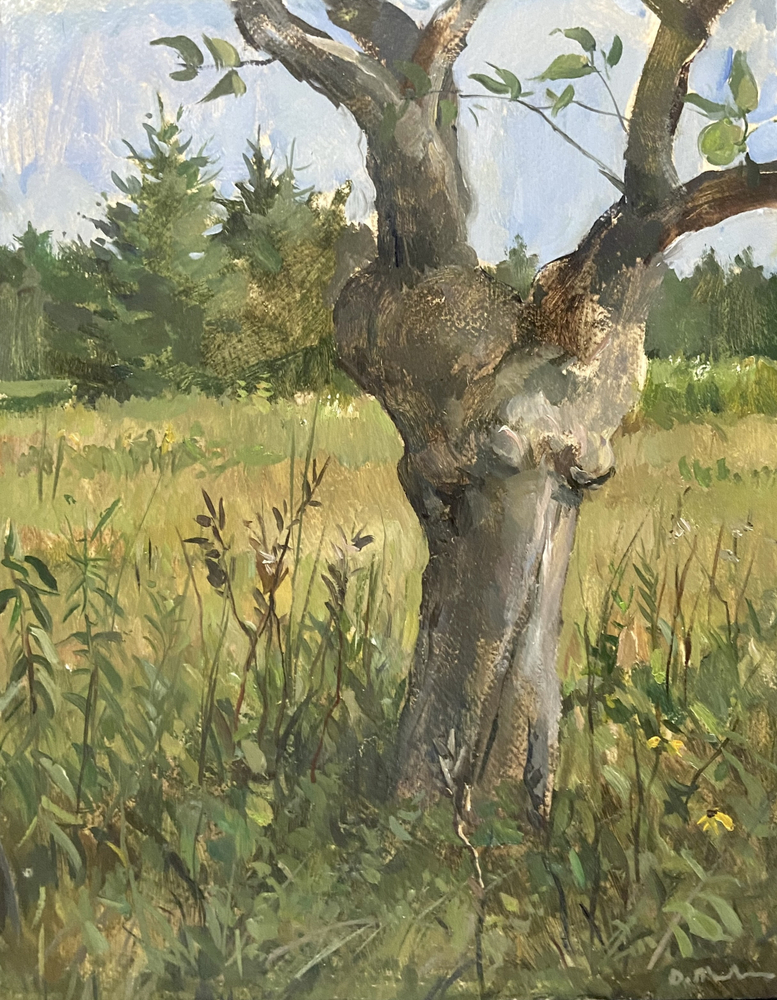 Orchard Study, Oil on wood, 14&amp;quot; x 11&amp;quot;