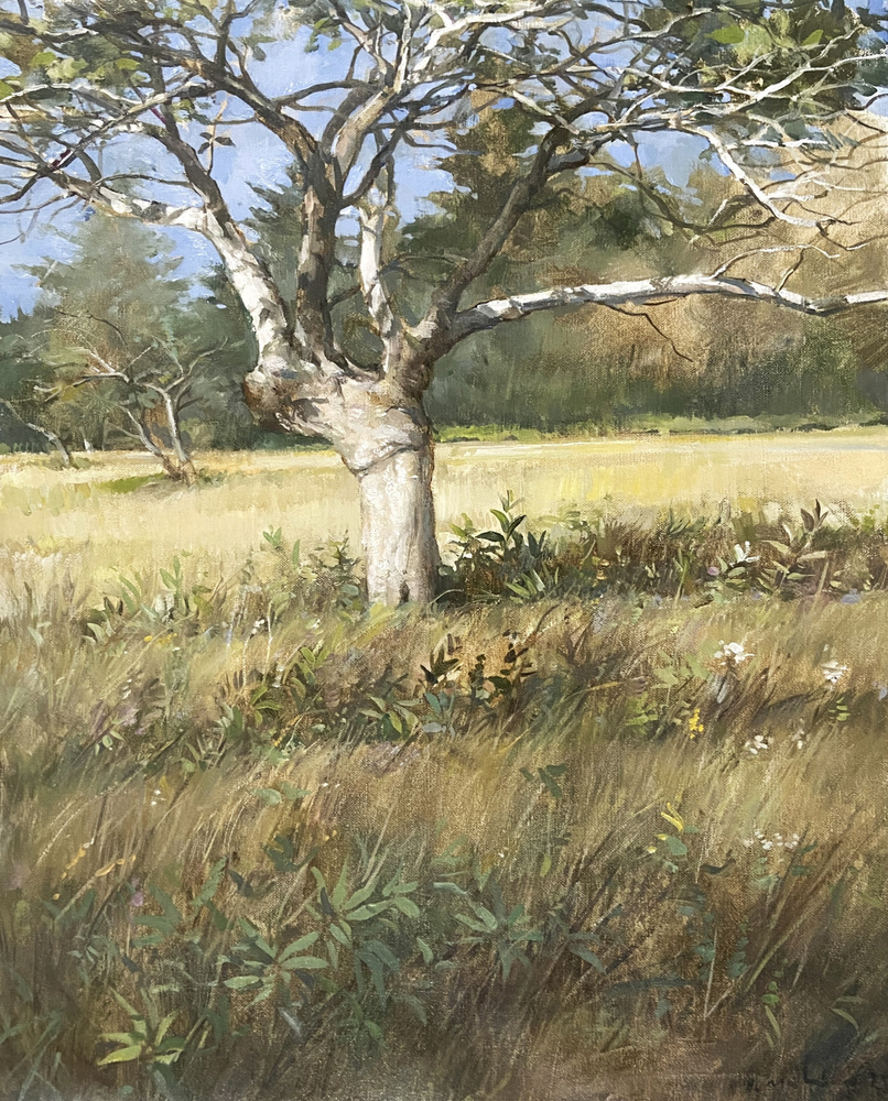 Orchard Tree, Oil on canvas, 10&amp;quot; x 16&amp;quot;