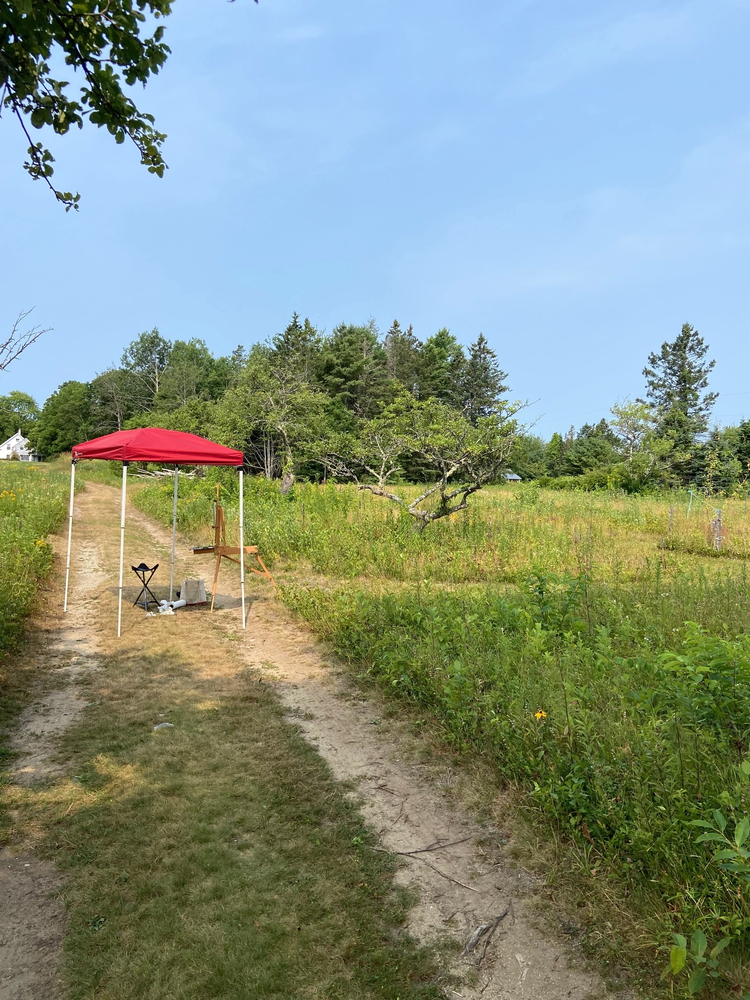 Douglas Martenson painting in a Maine field