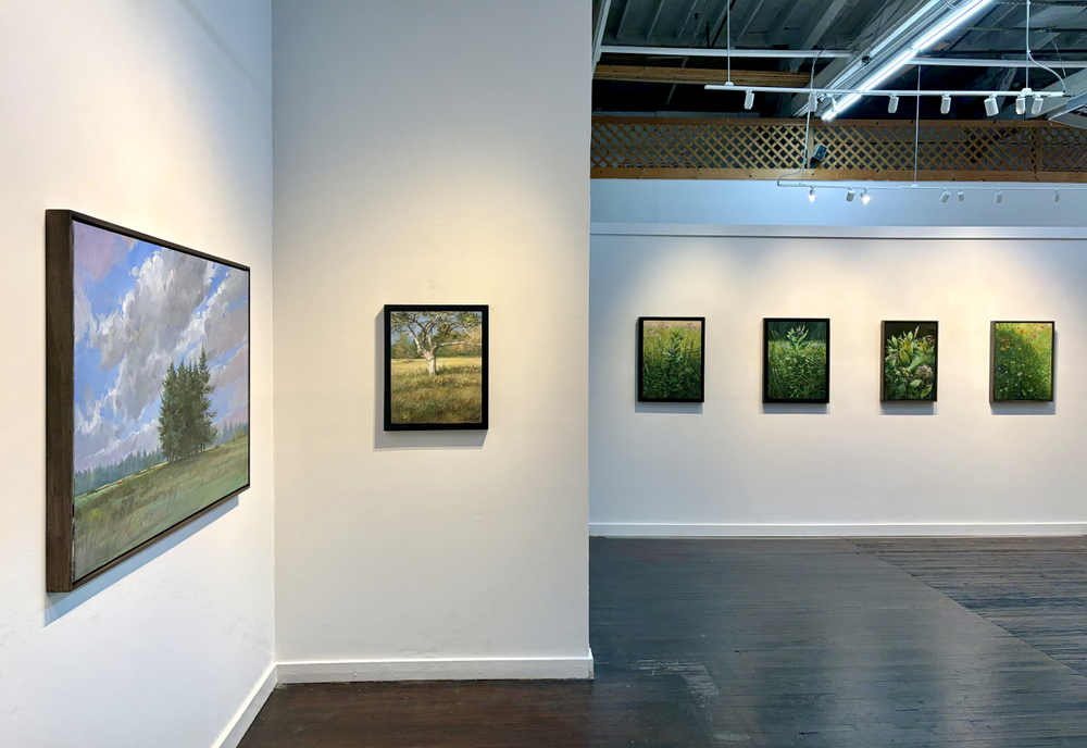 Gross McCleaf Gallery presents Douglas Martenson: The Meadow, Encounter