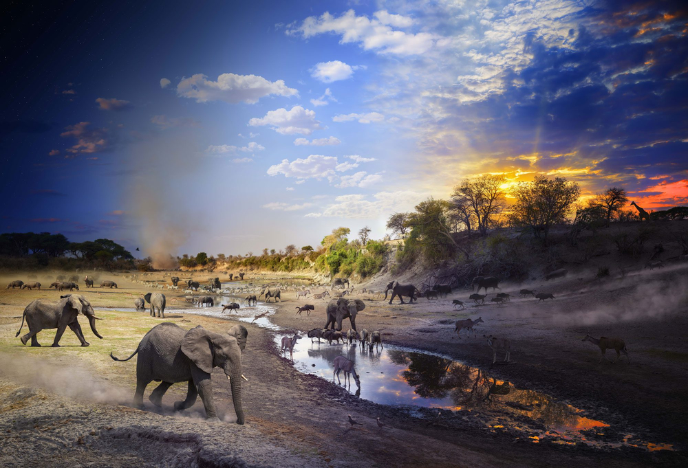 Stephen Wilkes, Boteti River, Botswana, Day to Night, 2024