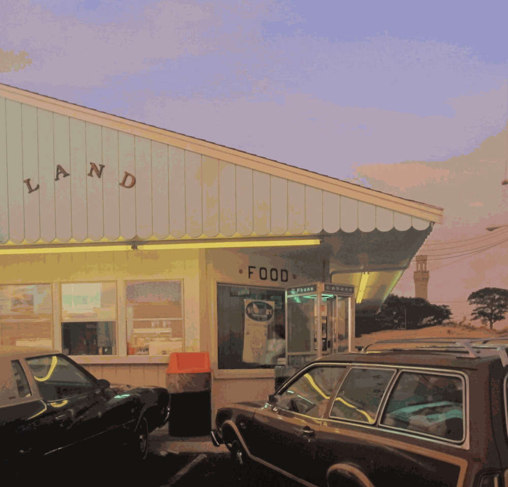 Joel Meyerowitz - Land, Provincetown