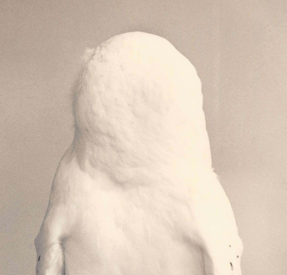 Masao Yamamoto