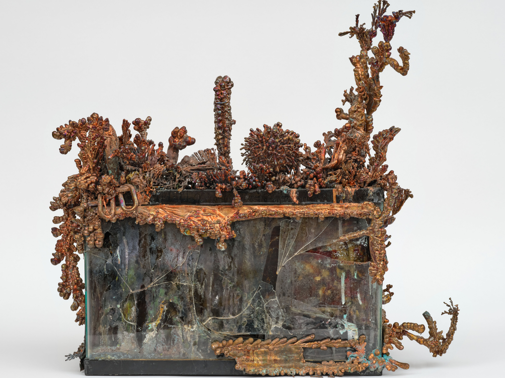 Max Hooper Schneider: Scavenger