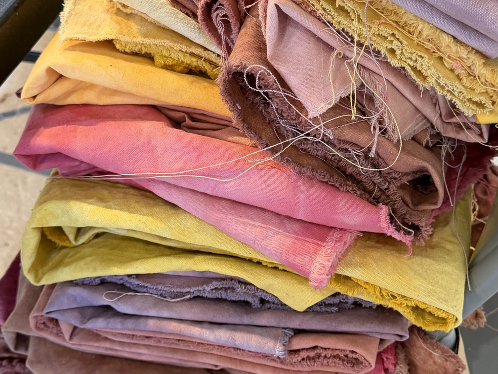 Tessa Greene O'Brien