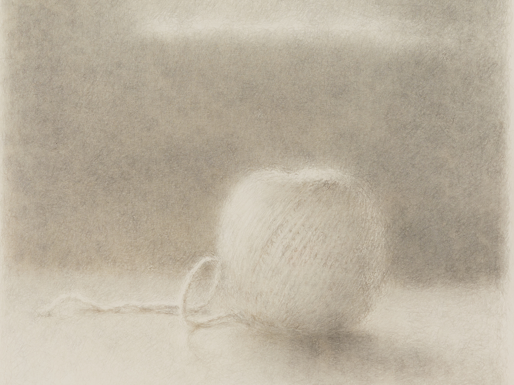 Fred Dalkey Soy Sauce Bottle and Coffee Mug, 2001 sanguine Conté crayon on paper, 10 x 8 1/4 in.