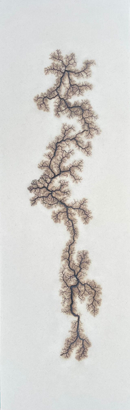 Douglas White, Lichtenberg Drawing 7, 2026