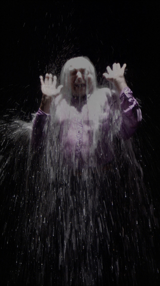 Bill Viola, Howard, 2008