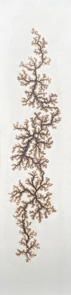 Douglas White, Lichtenberg Drawing 3, 2026