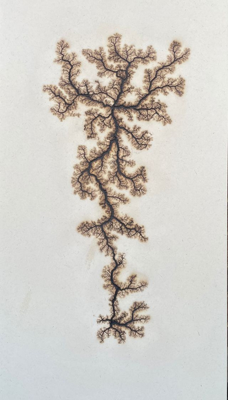 Douglas White, Lichtenberg Drawing 5, 2026