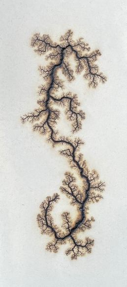 Douglas White, Lichtenberg Drawing 10, 2026