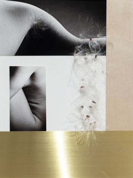 Maryam Palizgir, Claustrophobia_5550, 2022