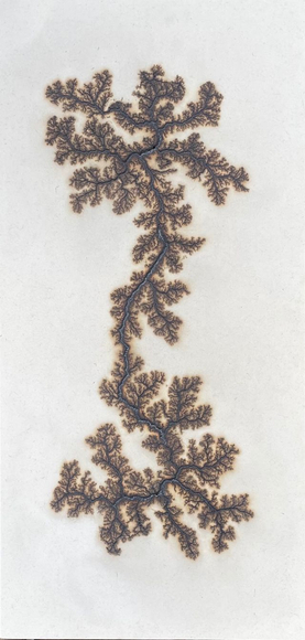 Douglas White, Lichtenberg Drawing 8, 2026