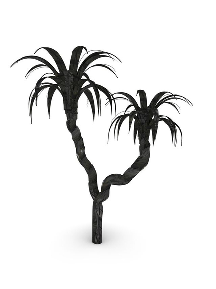 Douglas White, Black Palm 3, 2026