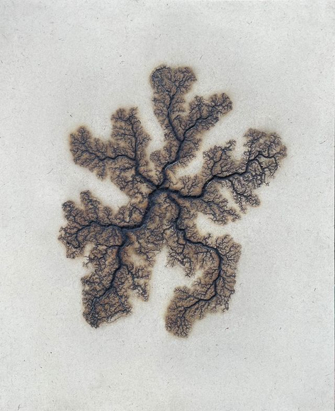 Douglas White, Lichtenberg Drawing 14, 2026