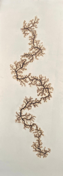 Douglas White, Lichtenberg Drawing 1, 2026