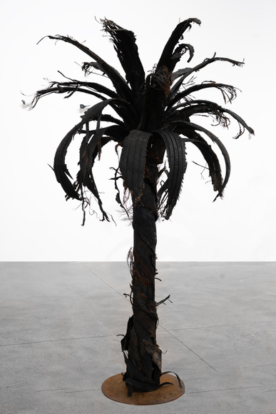 Douglas White, Black Palm 4, 2026