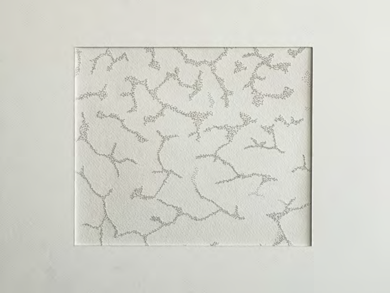 Maryam Khosravani, Sève Series, 2024