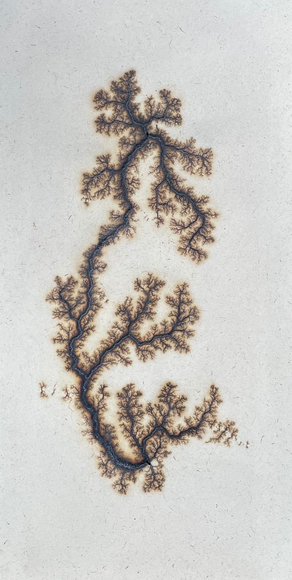 Douglas White, Lichtenberg Drawing 11, 2026