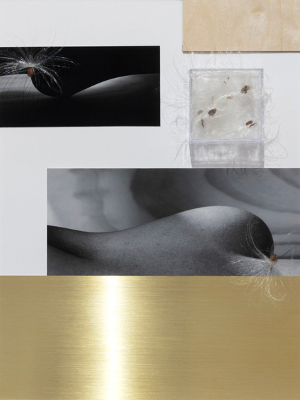 Maryam Palizgir, Claustrophobia_5708, 2022