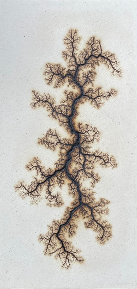 Douglas White, Lichtenberg Drawing 13, 2026